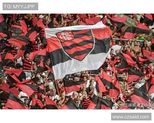 015弗拉门戈主场迎战巴西国际期待精彩对决与球迷热情共鸣